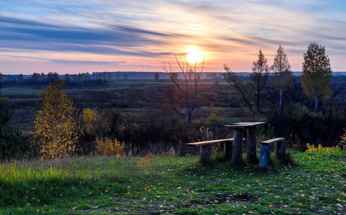 Память о лете... - Александр 