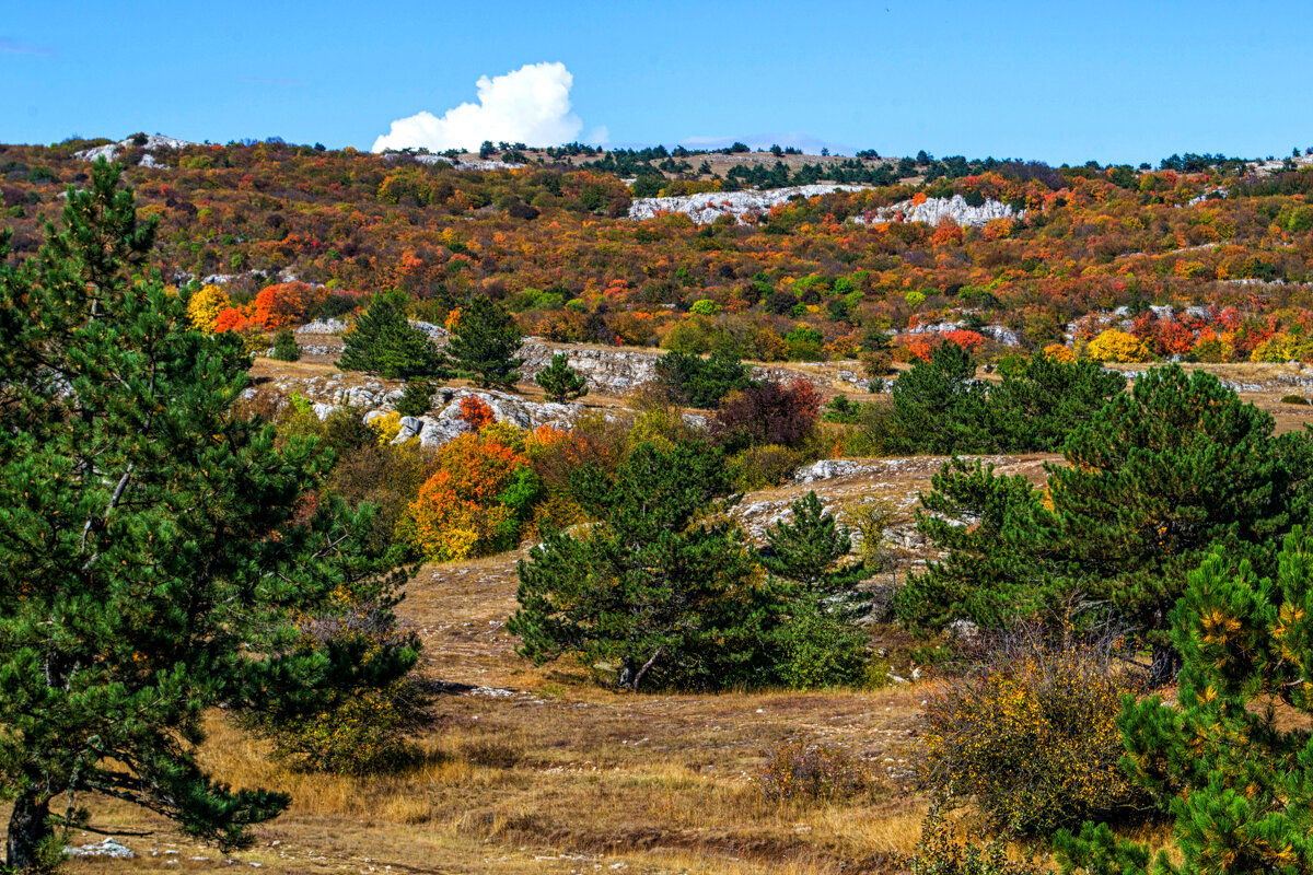 Крым.гораАй-Петри - Alexandra Крым.гораАй-Петри - Alexandra