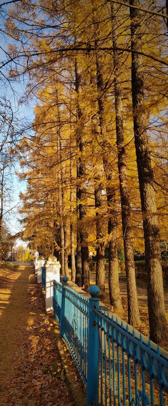 Просто осень... - Роман Царев