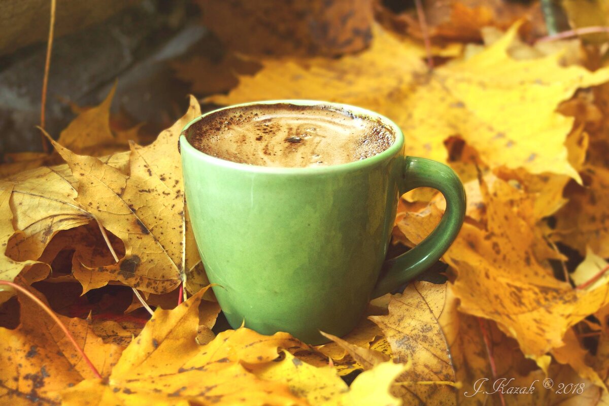 * - Елена Kазак (selena1965) * - Елена Kазак (selena1965)