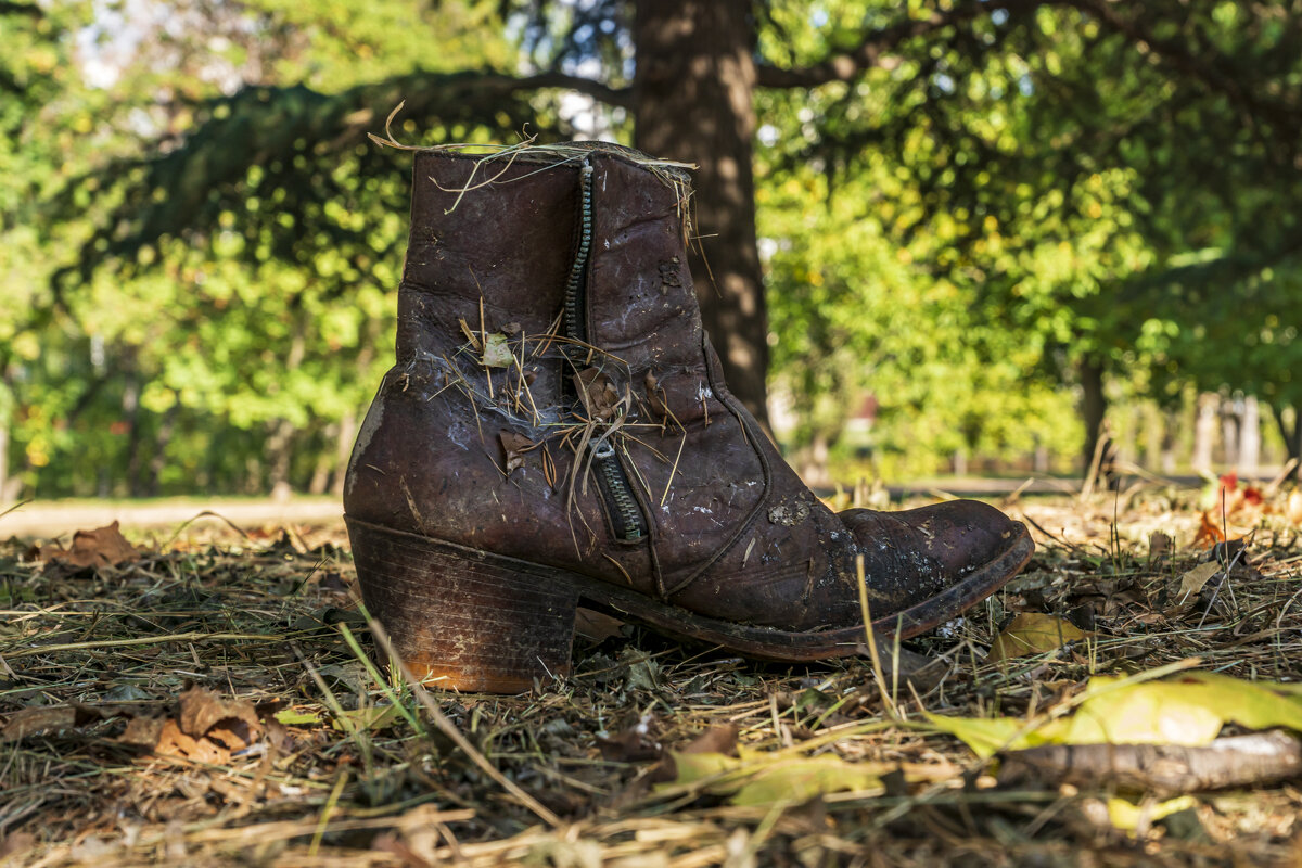 Потеряшка - Александр Буторин