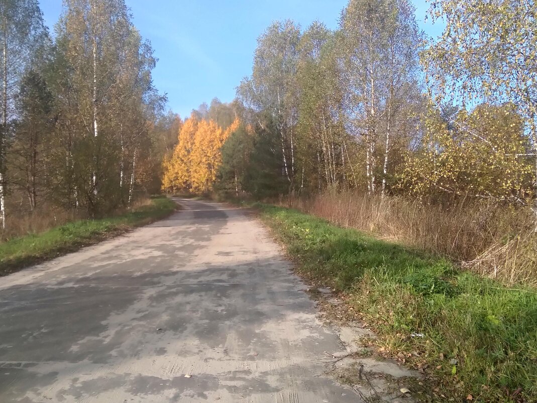 Осень - Mary Коллар Осень - Mary Коллар