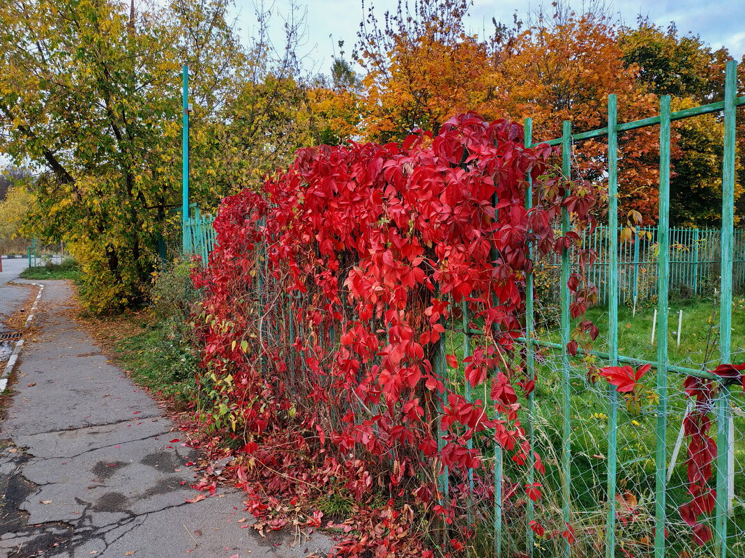 О полной победе красных - Андрей Лукьянов О полной победе красных - Андрей Лукьянов