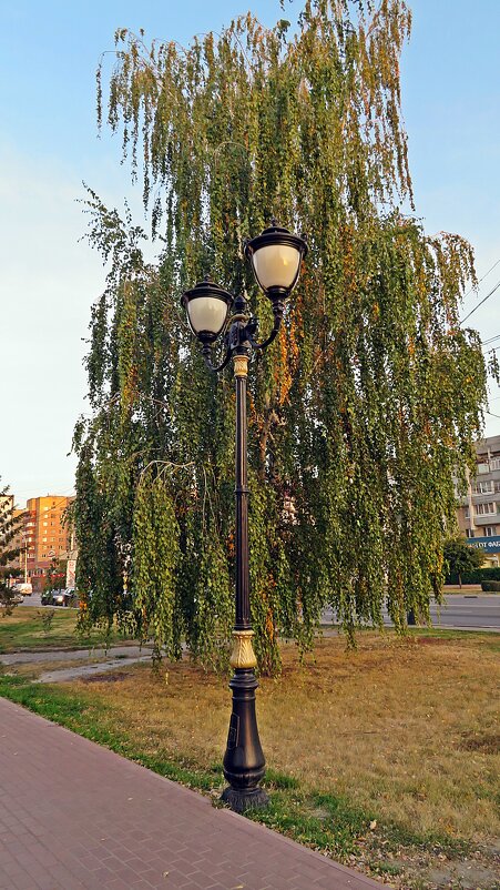 "Плакучий"  фонарь - Виталий Селиванов 