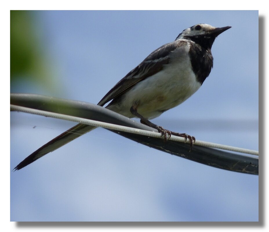 В ОЖИДАНИИ ВЕСНЫ... - Анатолий Восточный В ОЖИДАНИИ ВЕСНЫ... - Анатолий Восточный