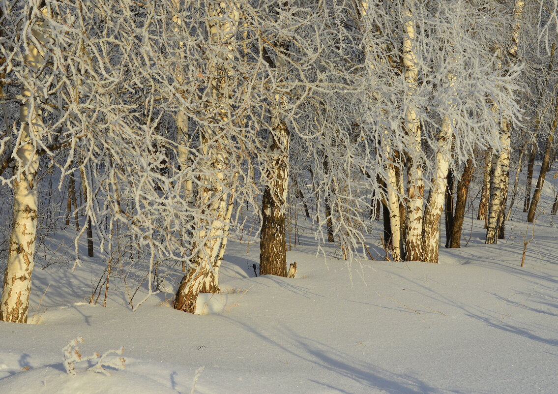 Зима - Татьяна Лютаева Зима - Татьяна Лютаева