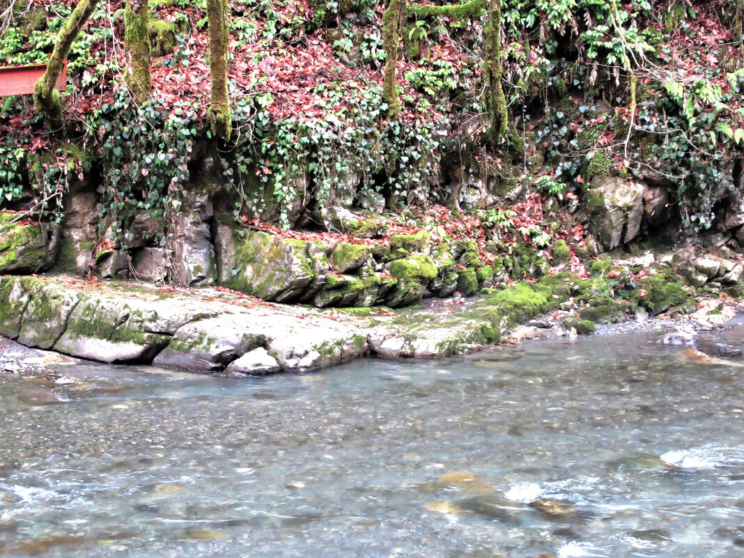 Картинки осени. - viach 