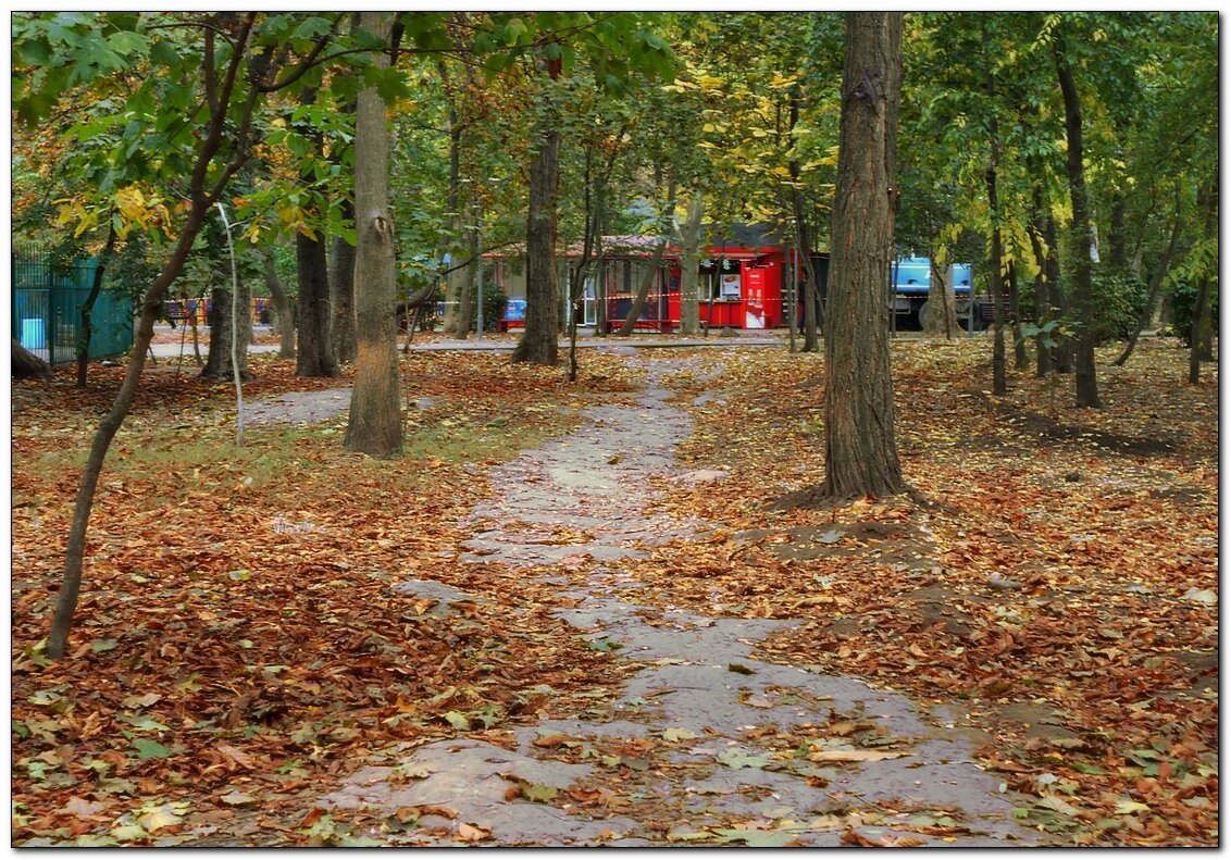 Настойчиво шагает осень, а лето отступает не спеша... - Людмила 