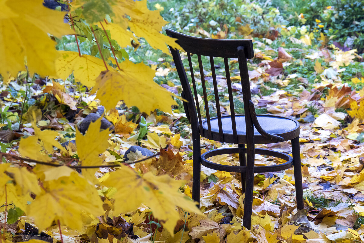 Осень, не уходи - Арина Осень, не уходи - Арина