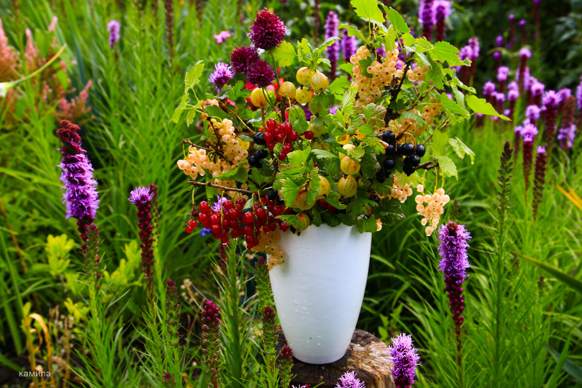 Фруктовый букет...лета моменты! - Mila .