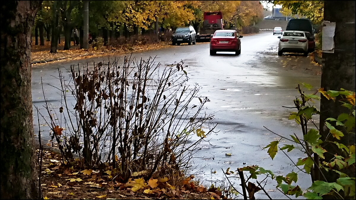 Ноябрь в городе - Владимир Стаценко Ноябрь в городе - Владимир Стаценко