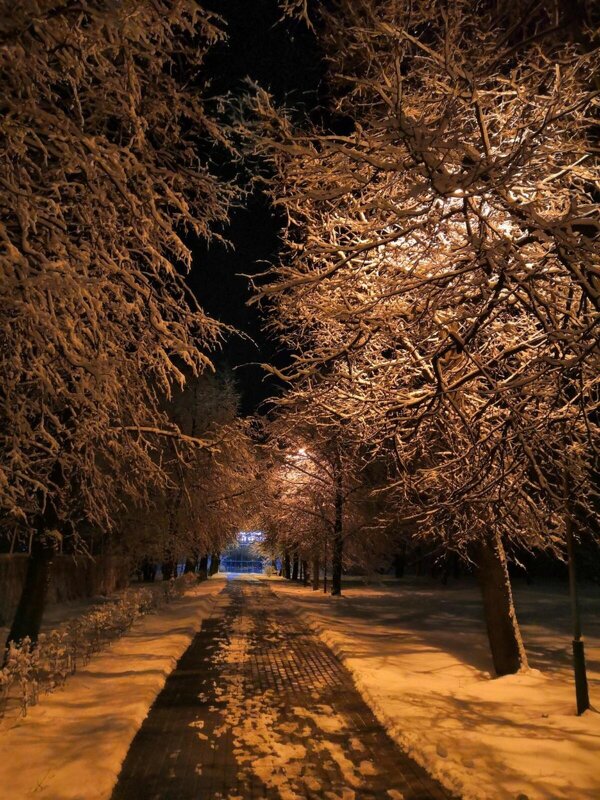 Холодный вечер. - Владимир Драгунский Холодный вечер. - Владимир Драгунский