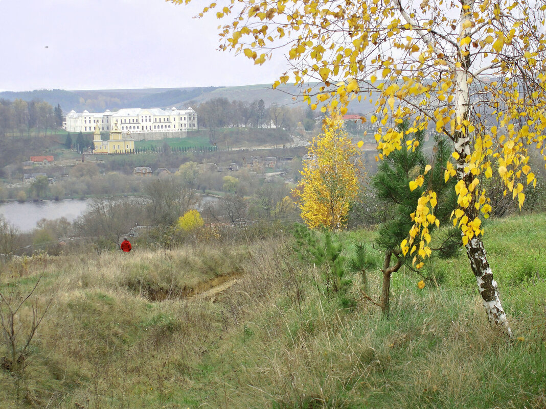 "Стародавня дорога до родового замку князів Вишнівецьких." - Ростислав Кухарук