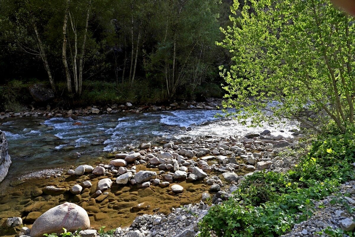 ПУТЕШЕСТВИЕ ПО КОКСУ. - Виктор Осипчук