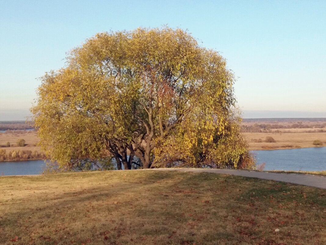 На берегу реки - Galina Solovova На берегу реки - Galina Solovova