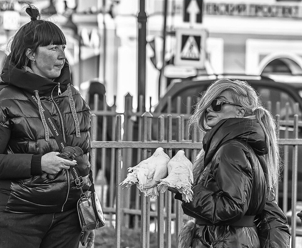 Голубки - Александр 