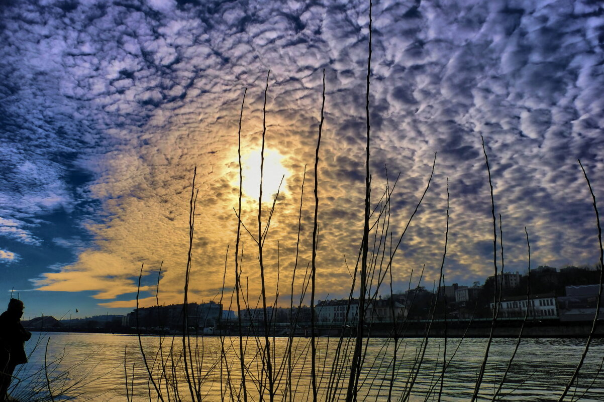утро у реки Рон (Rhone) - Георгий А