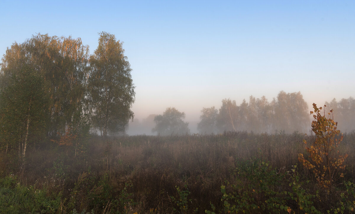 Солнце встает - Владимир Безбородов Солнце встает - Владимир Безбородов