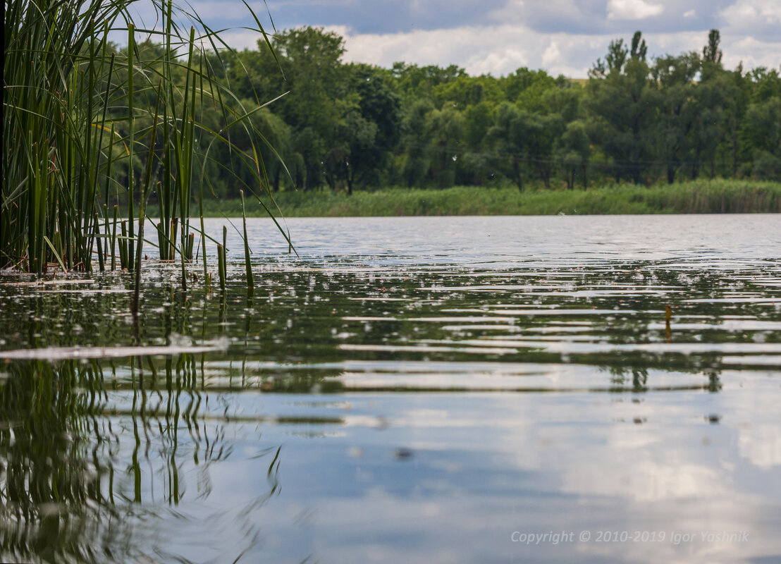 Тишина. - Игорь Яшник