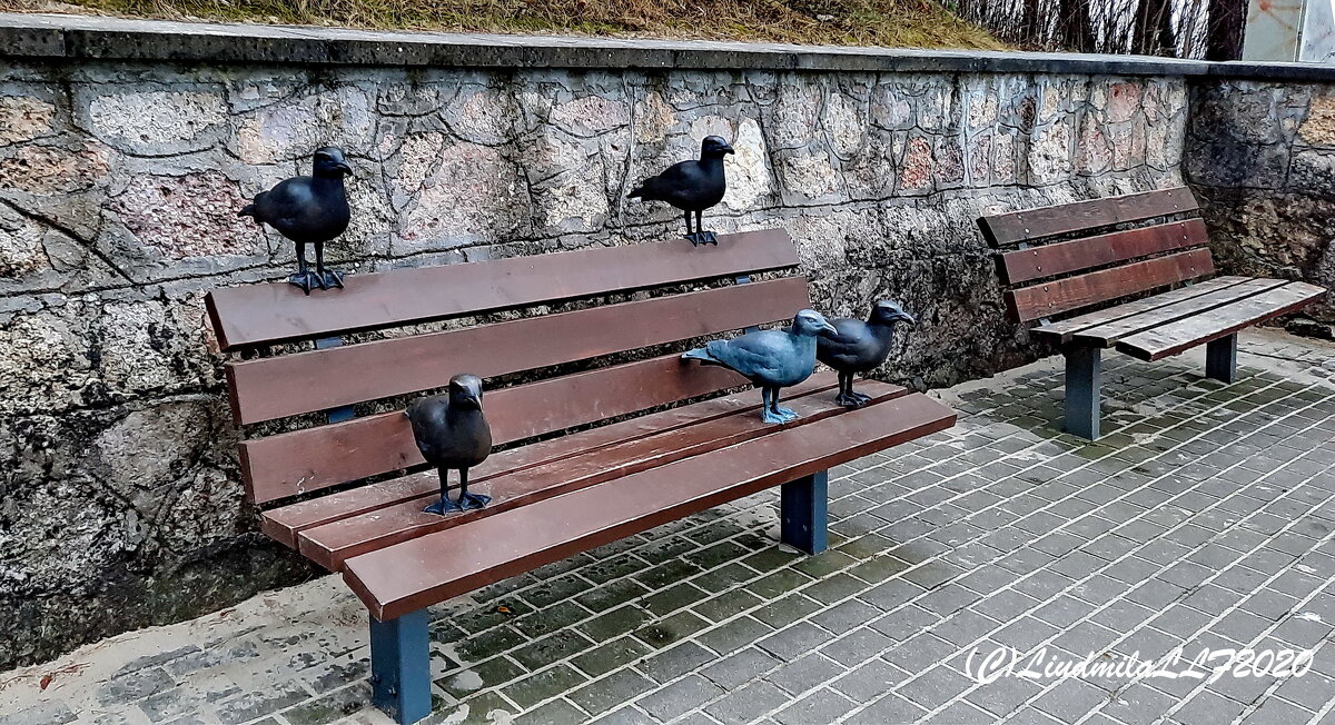 Чайки на отдыхе - Liudmila LLF