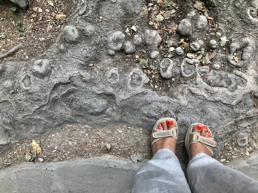 У корней.... - Любовь 