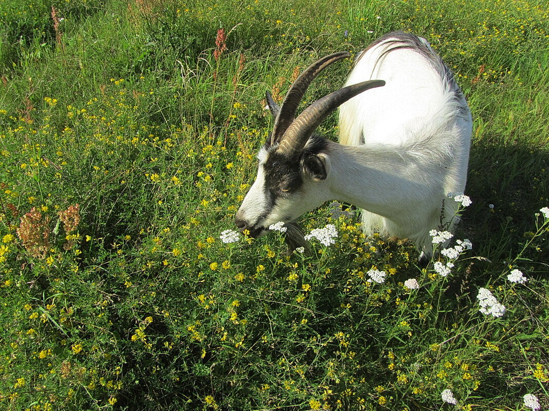 И на мой обед не зарьтесь... - Tatiana Markova И на мой обед не зарьтесь... - Tatiana Markova
