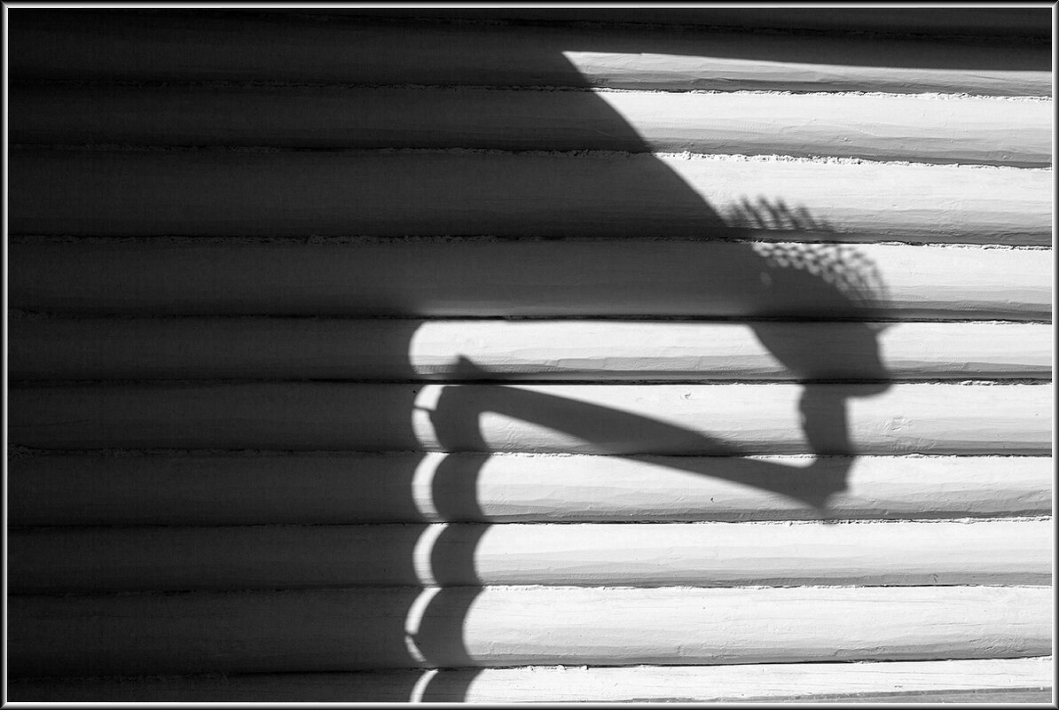 Вологда - Михаил Розенберг Вологда - Михаил Розенберг