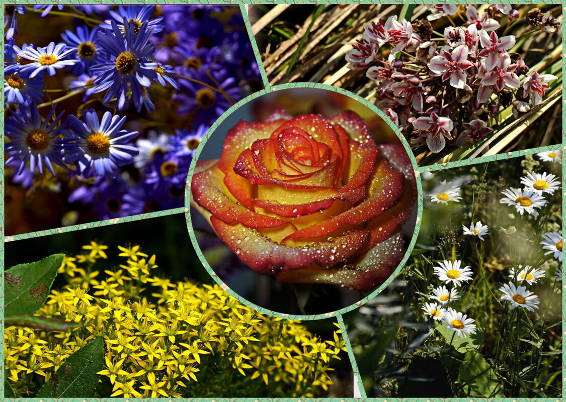 Цветочный коллаж - Любовь Чунарёва Цветочный коллаж - Любовь Чунарёва