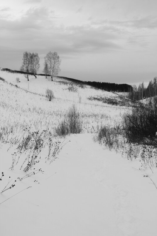 На холмах. - Радмир Арсеньев На холмах. - Радмир Арсеньев