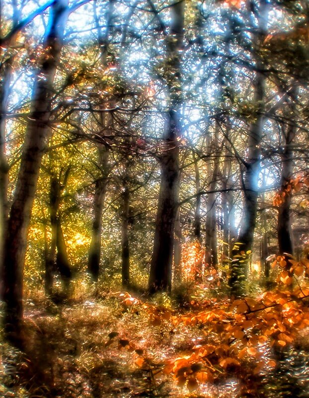 Монокль - SanSan 