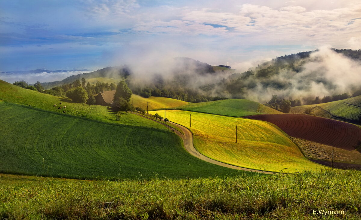 Emmental - Elena Wymann