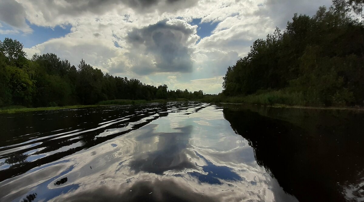 2020. Август - Наталья Герасимова
