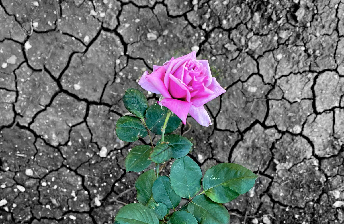 На растрескавшейся земле - Александр Деревяшкин На растрескавшейся земле - Александр Деревяшкин