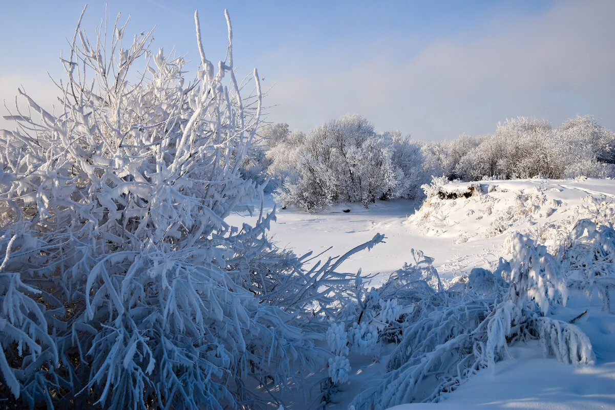 У мороза свои краски:) - Владимир Звягин У мороза свои краски:) - Владимир Звягин
