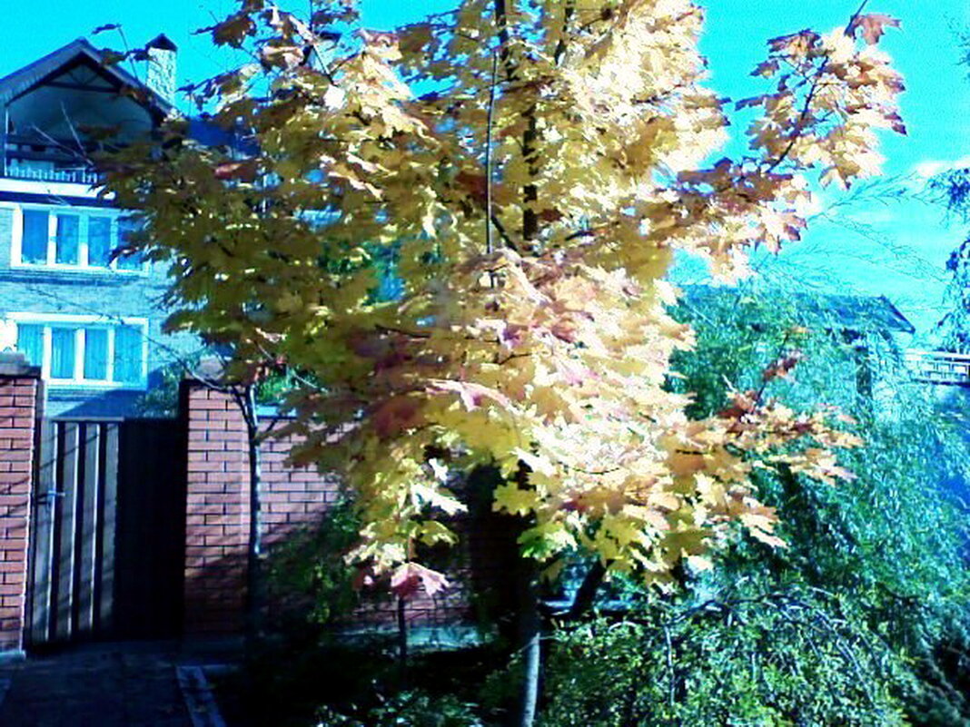 Осень - Владимир Захаров