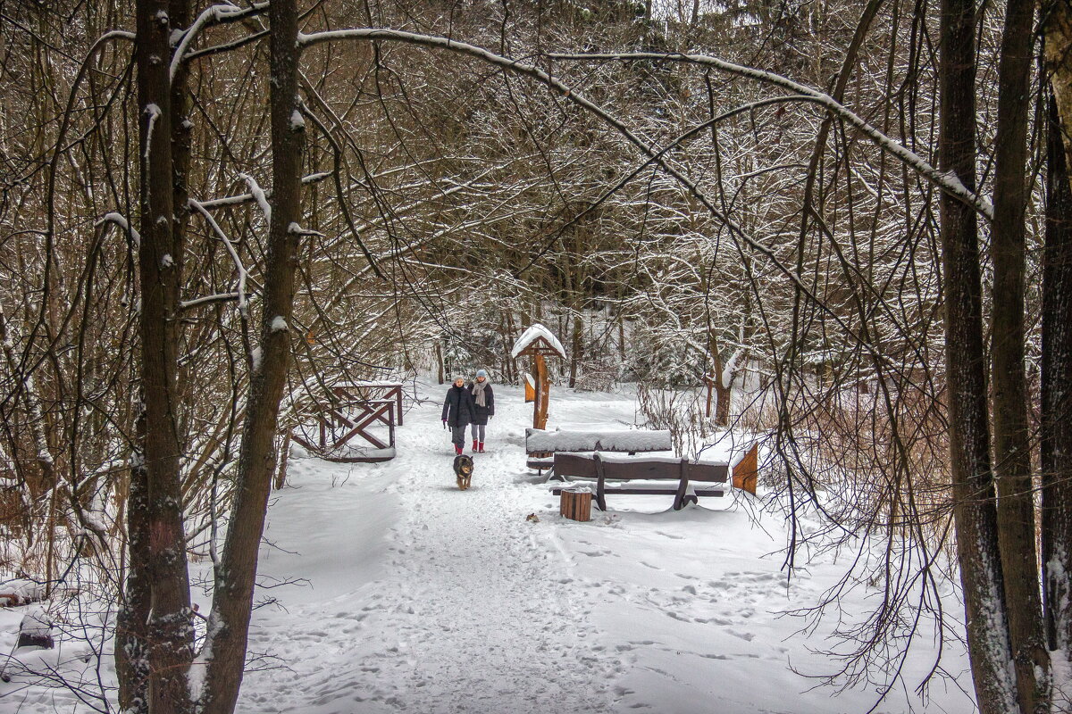 С рождеством! - юрий макаров