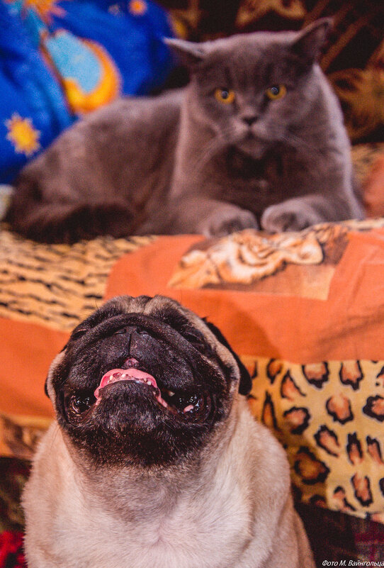 Соло для друга. - Михаил 