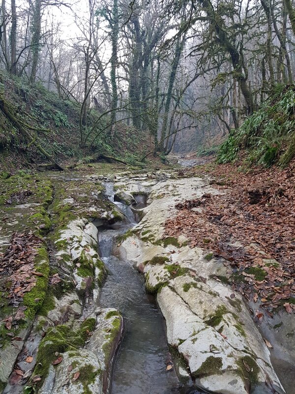 ПО ГОРНЫМ ТРОПАМ - Tata Wolf