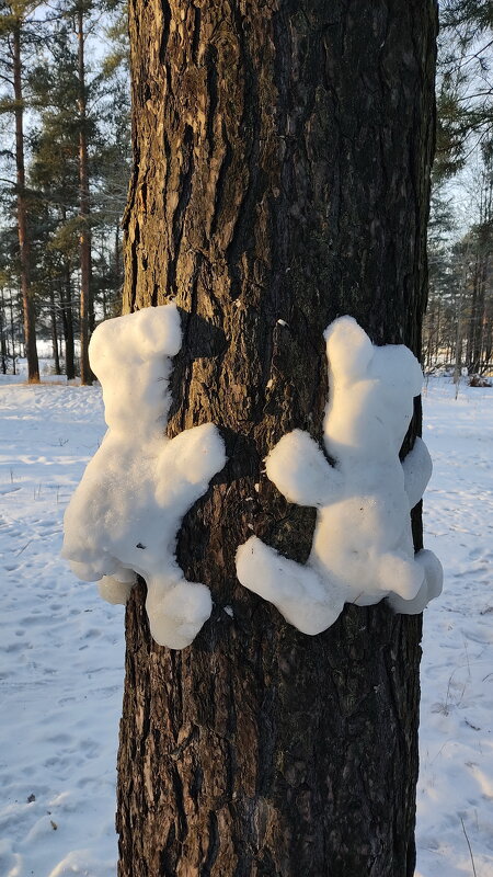 Без названия - Николай 