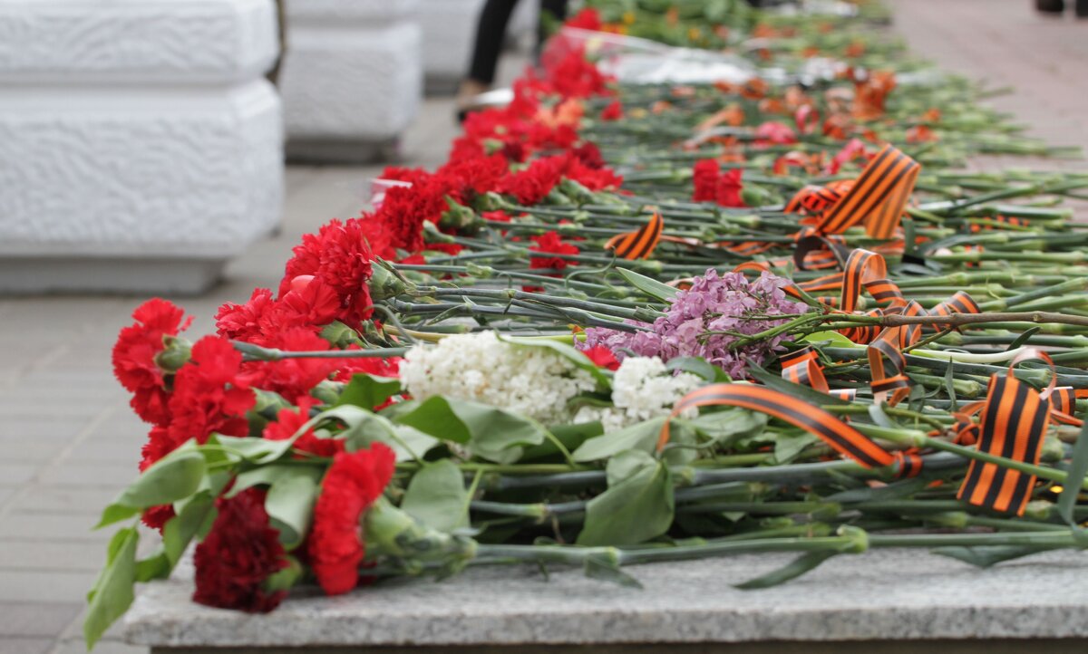 .......... - Сергей Оплачко