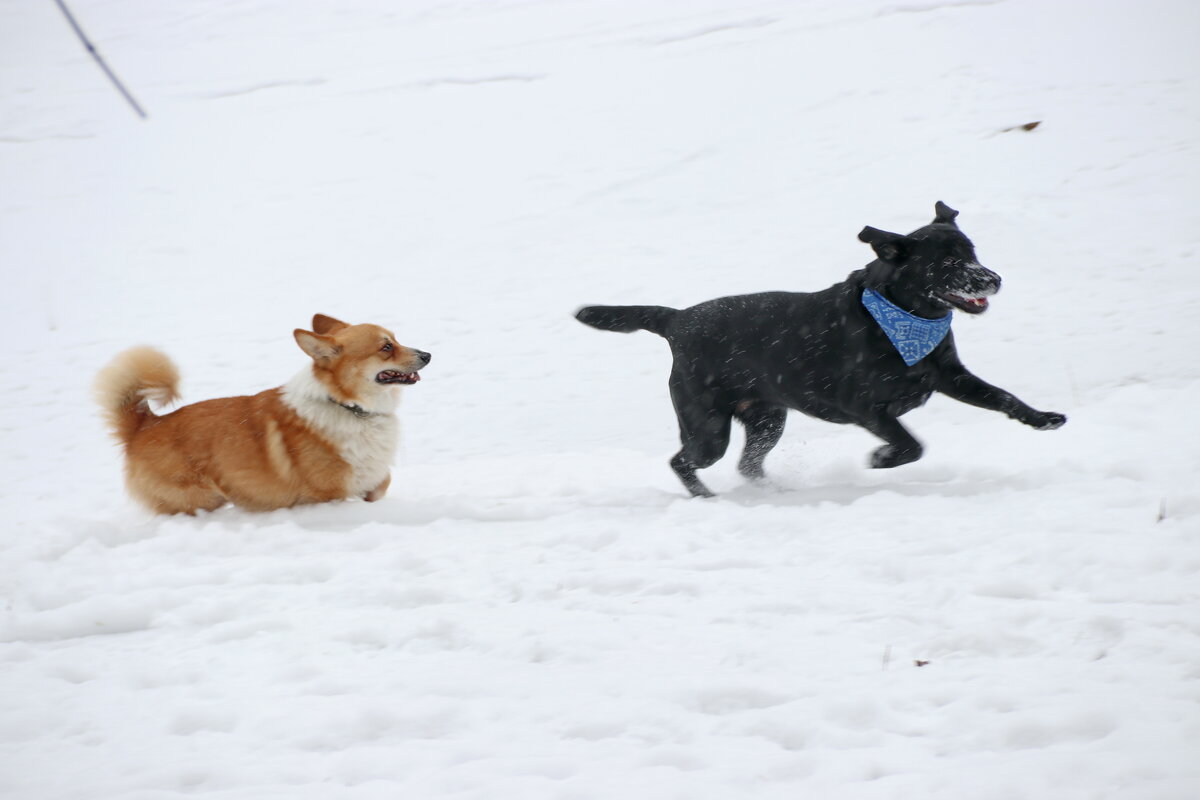 "Не догнать!" ) - Любовь С.