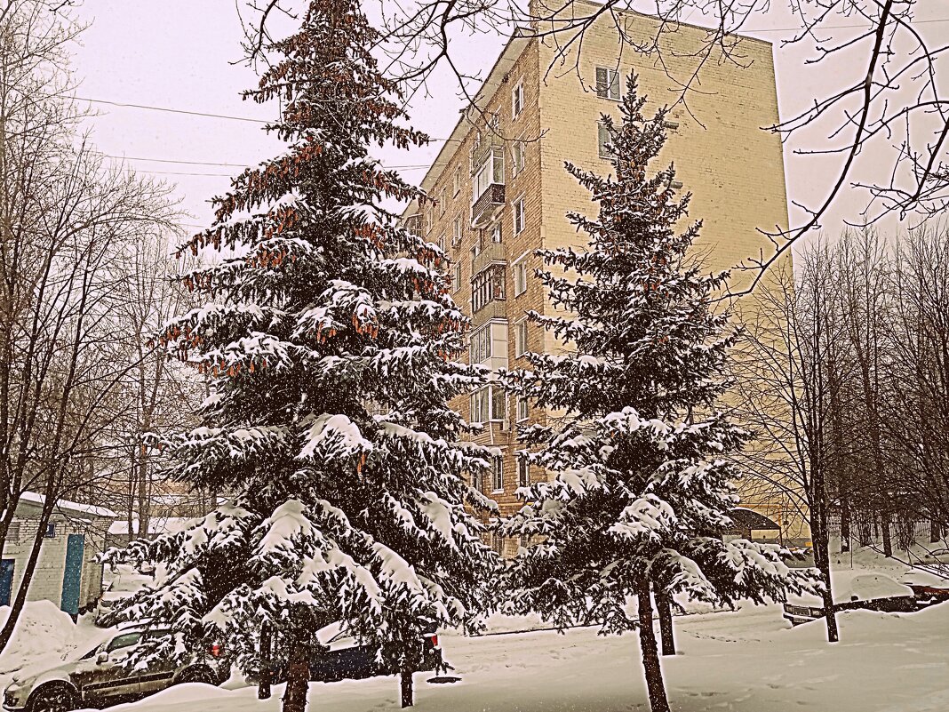 Возле дома моего... - Владимир Драгунский