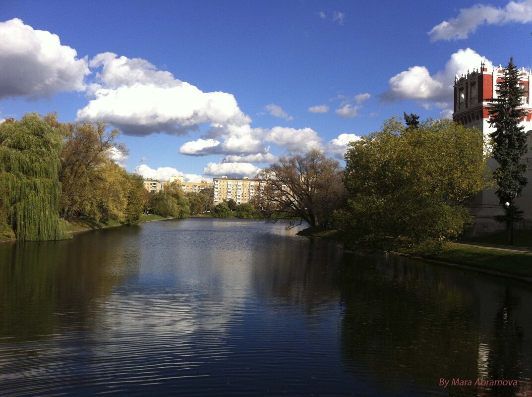 Пруд в сквере Новодевичьего монастыря. - Мара Абрамова
