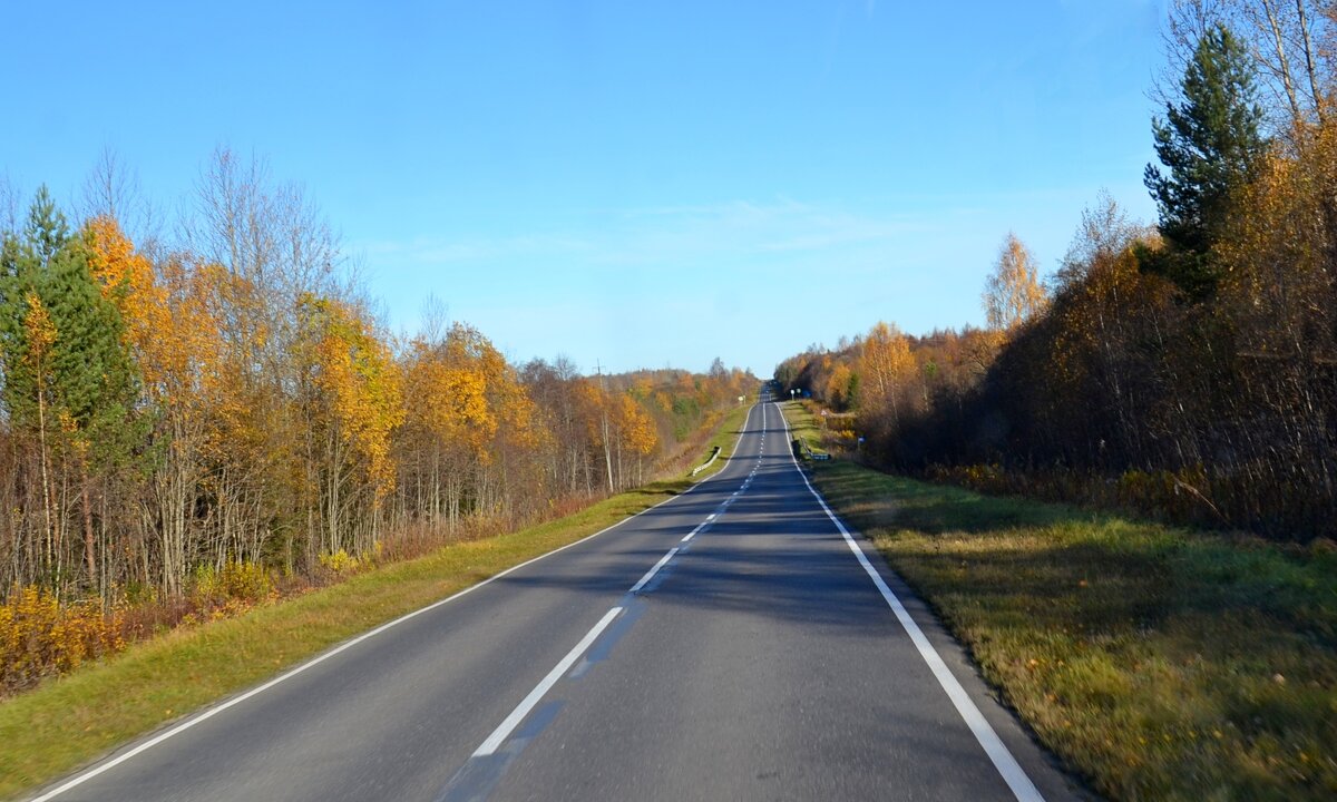 ДОРОГИ ВОЛОГОДЧИНЫ. - Виктор Осипчук ДОРОГИ ВОЛОГОДЧИНЫ. - Виктор Осипчук