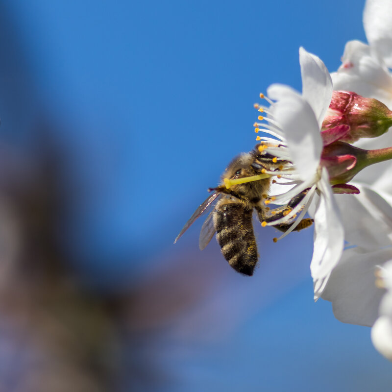 С головой в работе - Игорь Викторов С головой в работе - Игорь Викторов