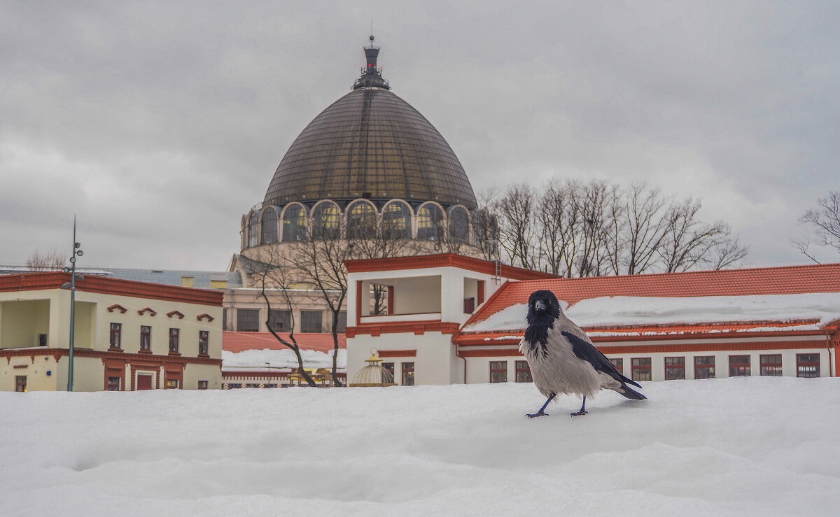Где то на ВДНХ - юрий поляков Где то на ВДНХ - юрий поляков