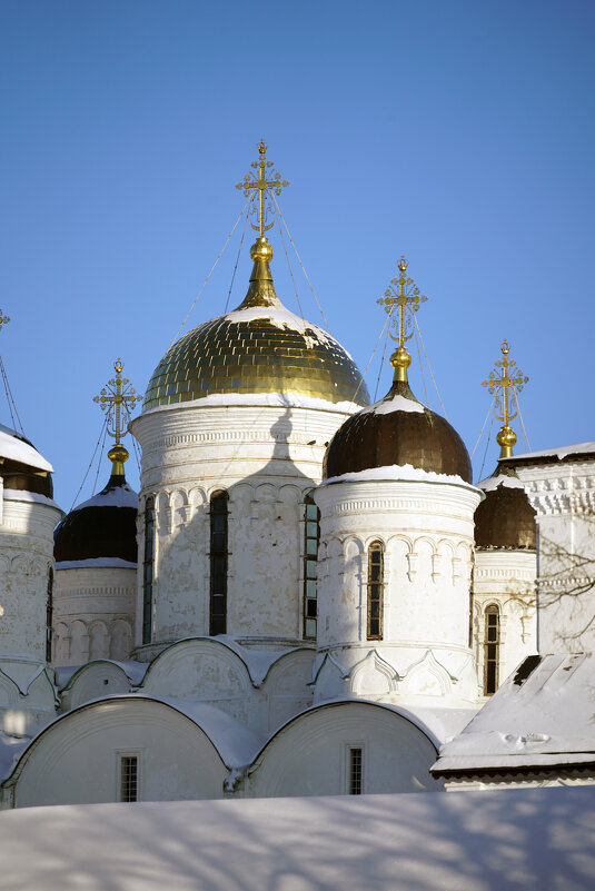 Купола собора Рождества Пресвятой Богородицы в Пафнутьевом-Боровском монастыре - Иван Литвинов