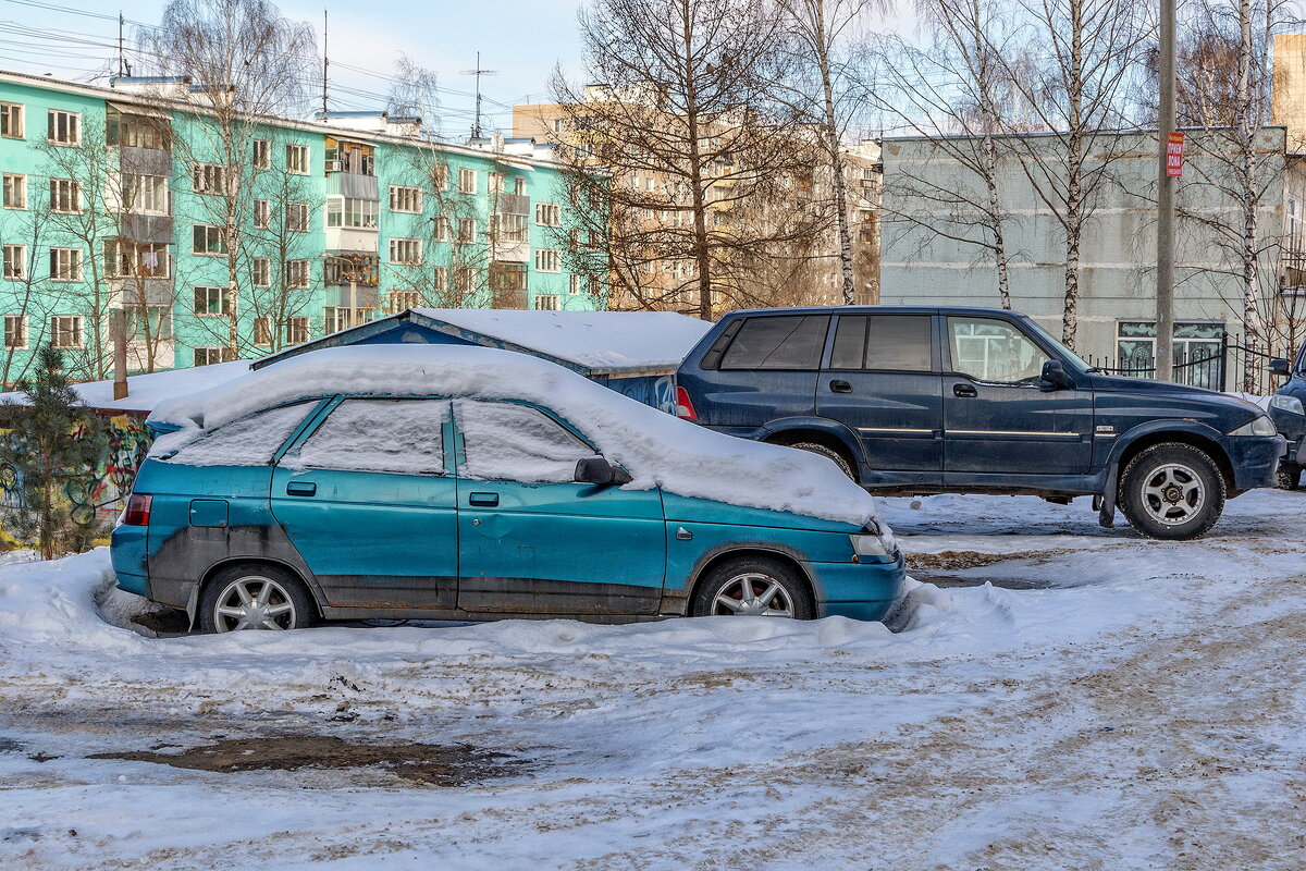 Подснежник. - Анатолий. Chesnavik.