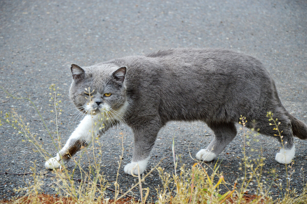 Боец - Надежда Куркина