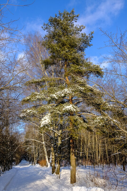 Радость цветного освещения ! - Георгий А Радость цветного освещения ! - Георгий А